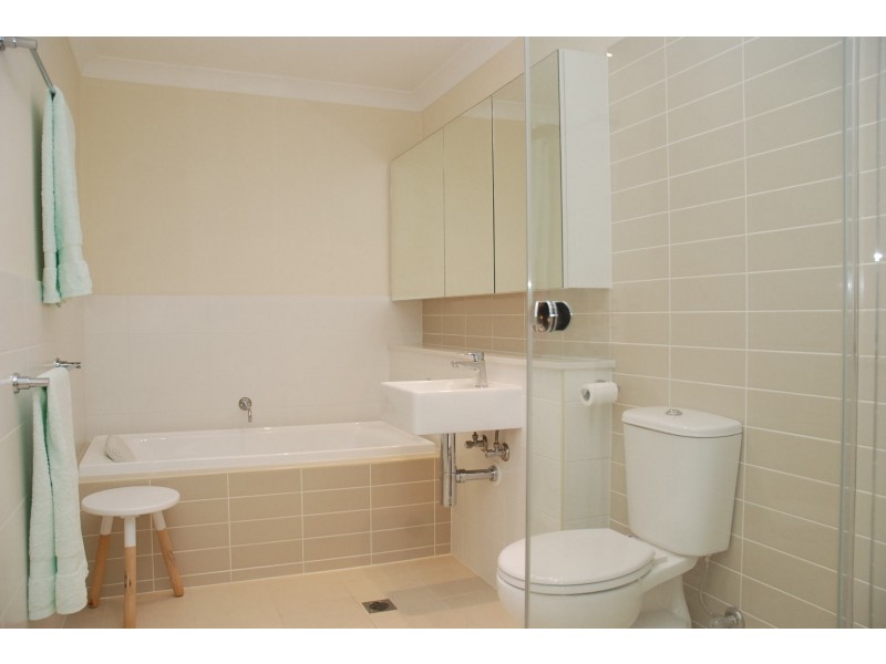 6 Eucalyptus Street, Lidcombe NSW 2141