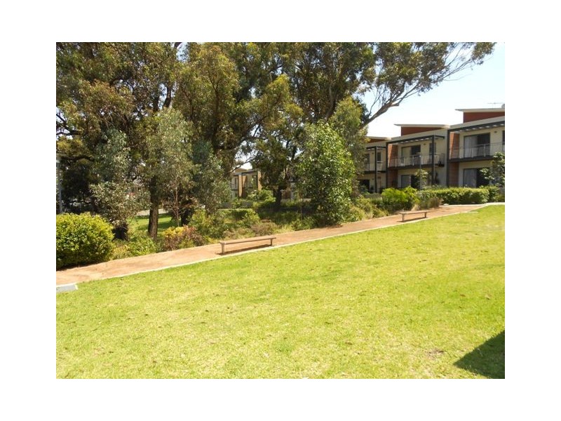 2/33a Pepper Tree Road, Lidcombe NSW 2141