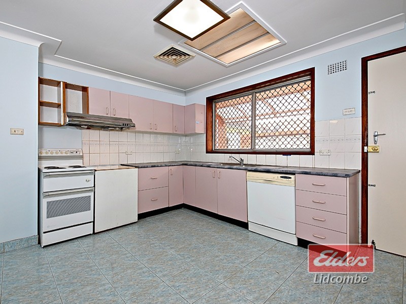 10 Teresa Street, Birrong NSW 2143