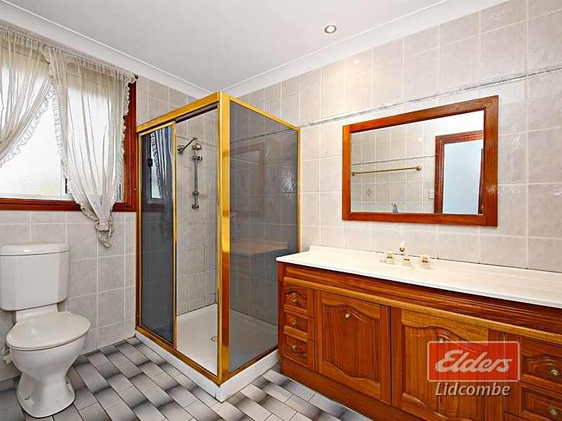 10 Teresa Street, Birrong NSW 2143