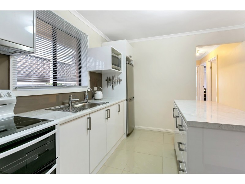 39 Byron Avenue, Clovelly Park SA 5042