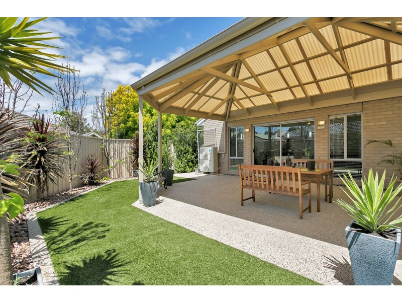 31 Creslin Terrace, Camden Park SA 5038