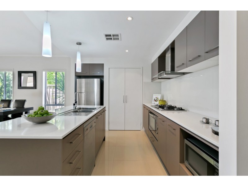 31 Creslin Terrace, Camden Park SA 5038