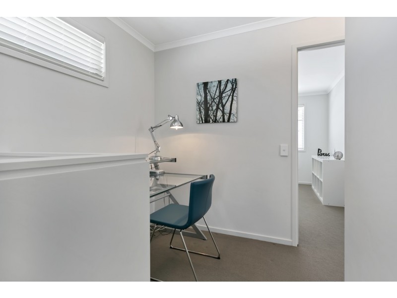 31 Creslin Terrace, Camden Park SA 5038