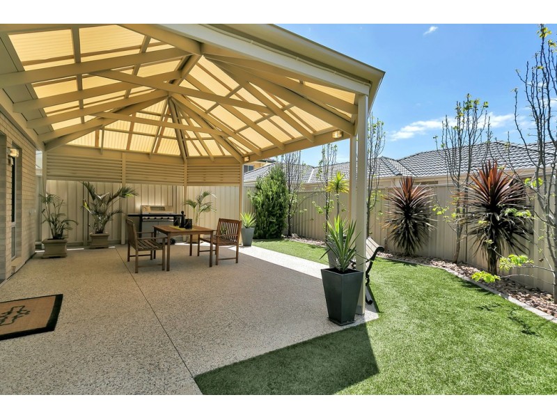 31 Creslin Terrace, Camden Park SA 5038