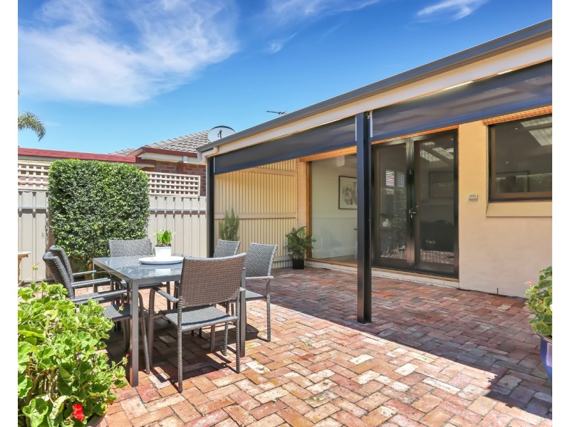 13 Clifton Street, Camden Park SA 5038