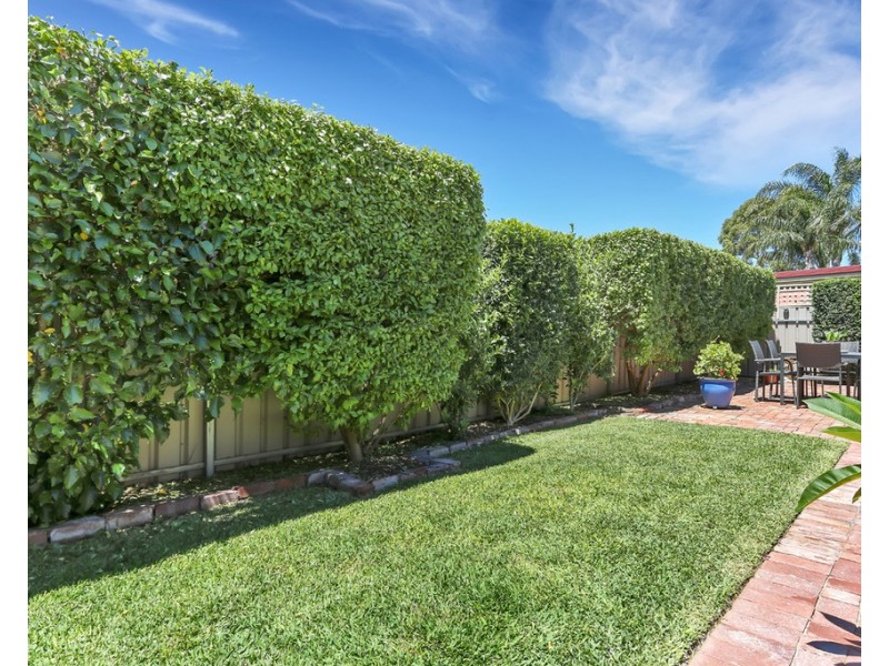 13 Clifton Street, Camden Park SA 5038