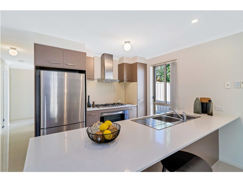 31B Creslin Terrace, Camden Park SA 5038