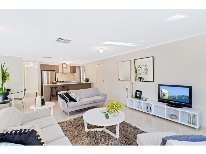 31B Creslin Terrace, Camden Park SA 5038