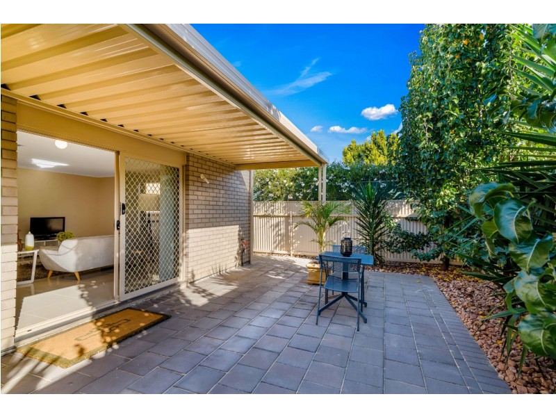 31B Creslin Terrace, Camden Park SA 5038