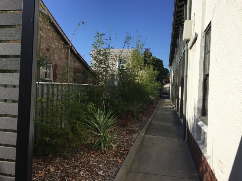 8/128 Osmond Terrace, Norwood SA 5067