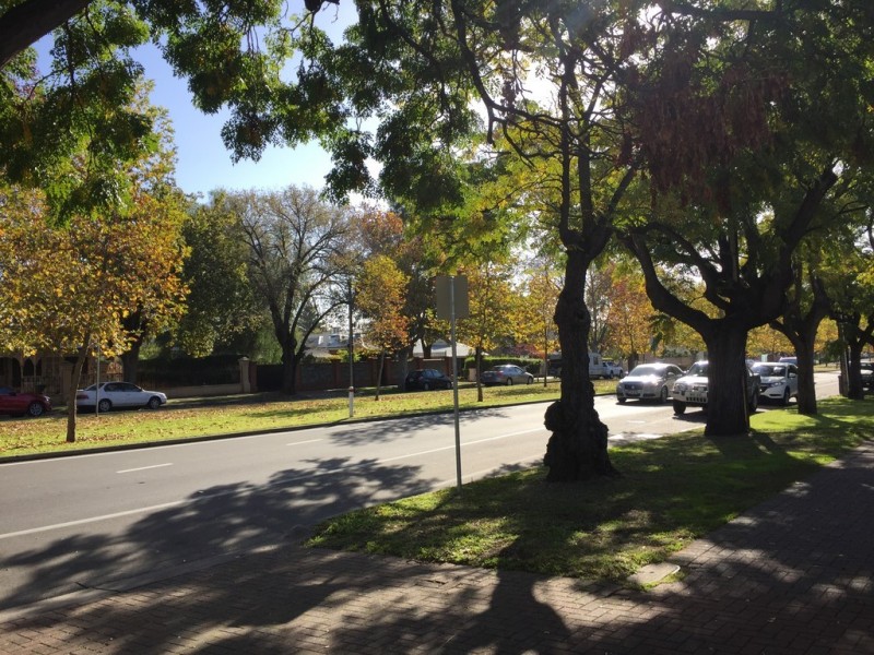 8/128 Osmond Terrace, Norwood SA 5067