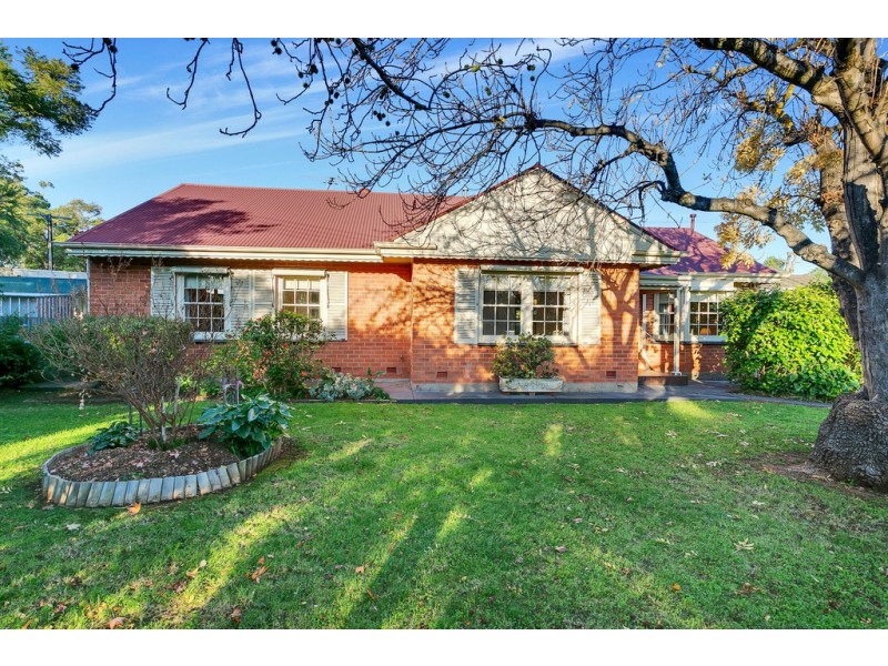 1 Hale Avenue, Hawthorn SA 5062