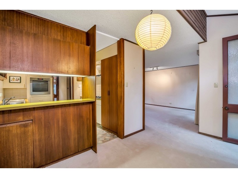 13 Figtree Court, North Adelaide SA 5006