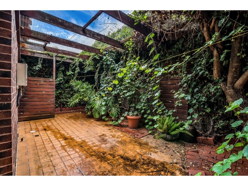 13 Figtree Court, North Adelaide SA 5006