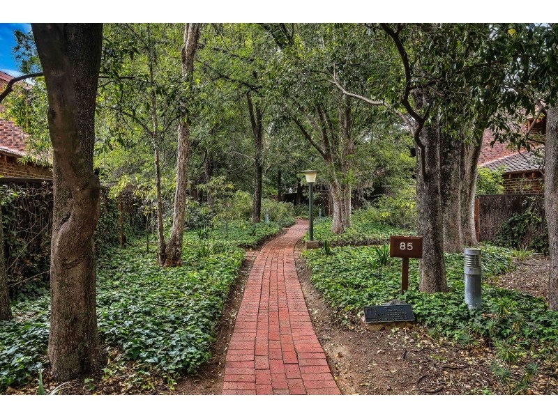 13 Figtree Court, North Adelaide SA 5006