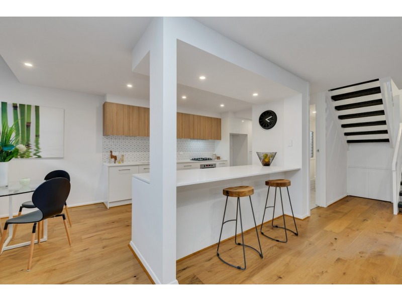 13 Figtree Court, North Adelaide SA 5006