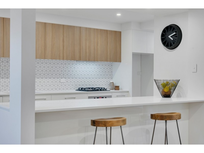 13 Figtree Court, North Adelaide SA 5006