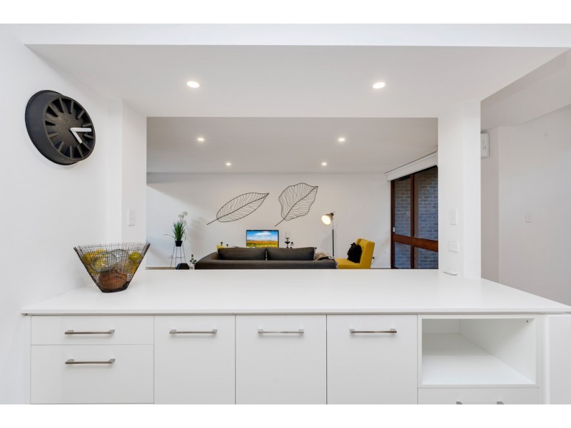 13 Figtree Court, North Adelaide SA 5006