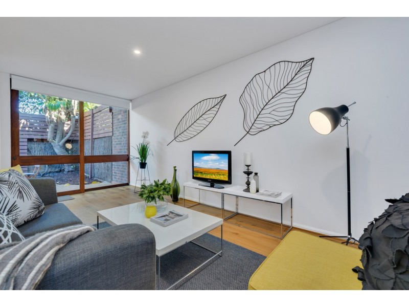 13 Figtree Court, North Adelaide SA 5006