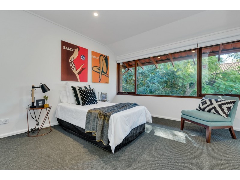 13 Figtree Court, North Adelaide SA 5006