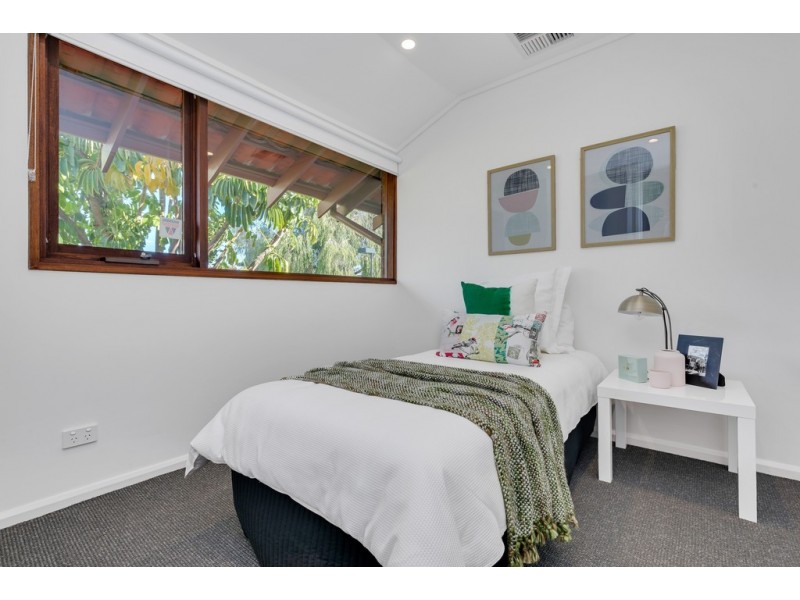 13 Figtree Court, North Adelaide SA 5006