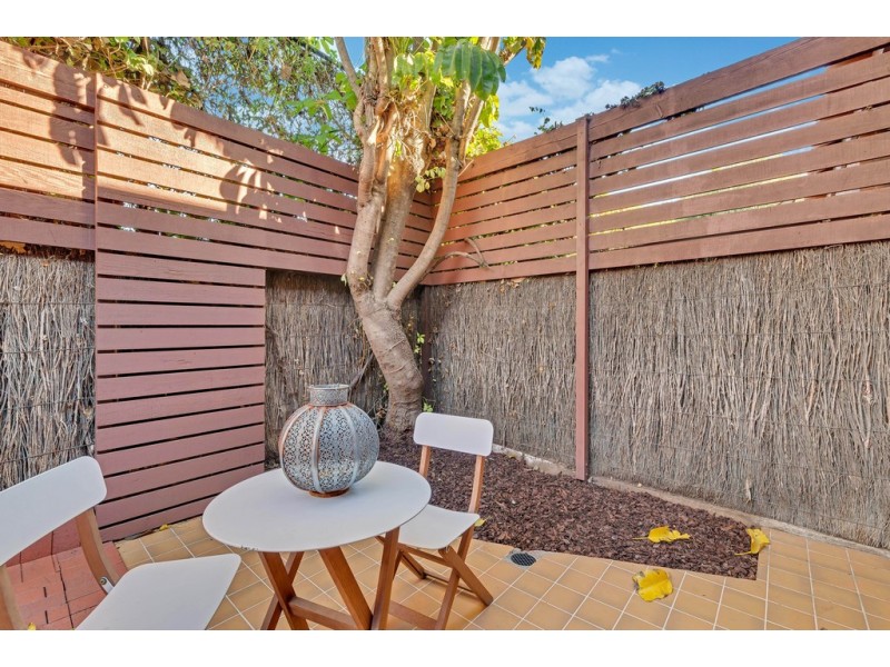 13 Figtree Court, North Adelaide SA 5006