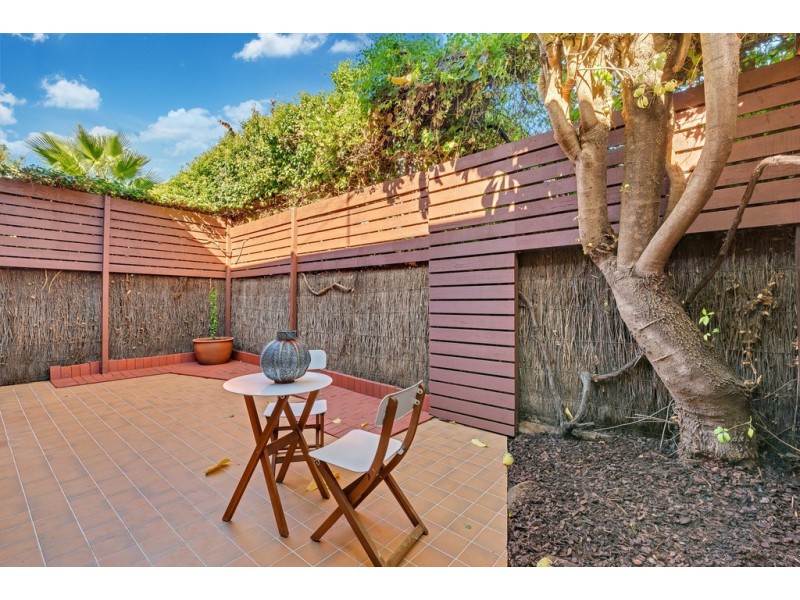 13 Figtree Court, North Adelaide SA 5006