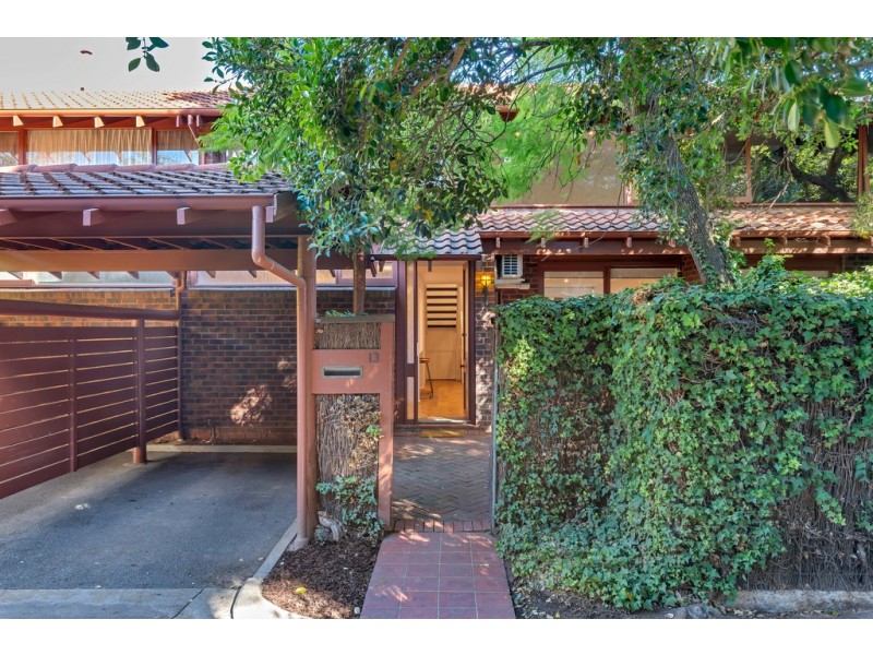 13 Figtree Court, North Adelaide SA 5006