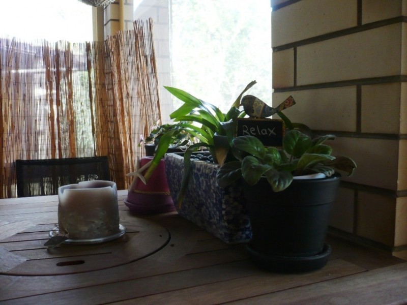 27/3 Ferguson Street, Glenelg North SA 5045