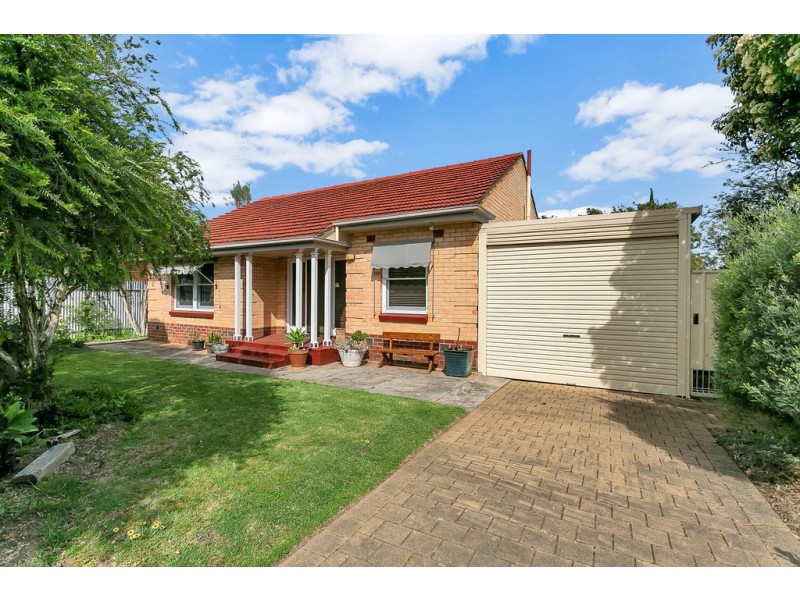 19 Carlton Street, Oaklands Park SA 5046