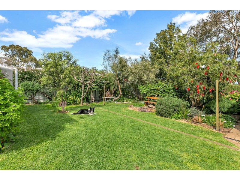 19 Carlton Street, Oaklands Park SA 5046