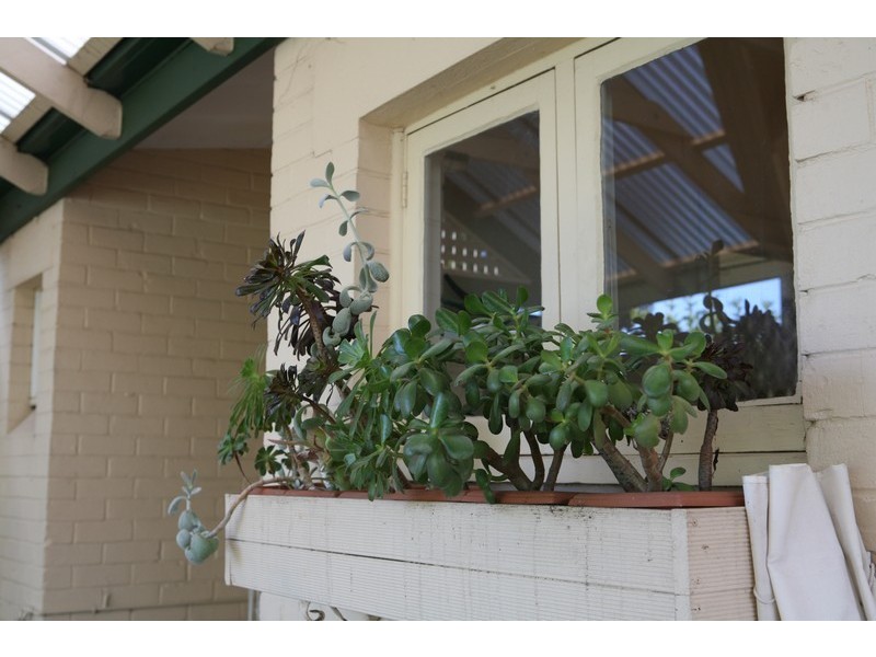 9 Rowells Road, Lockleys SA 5032