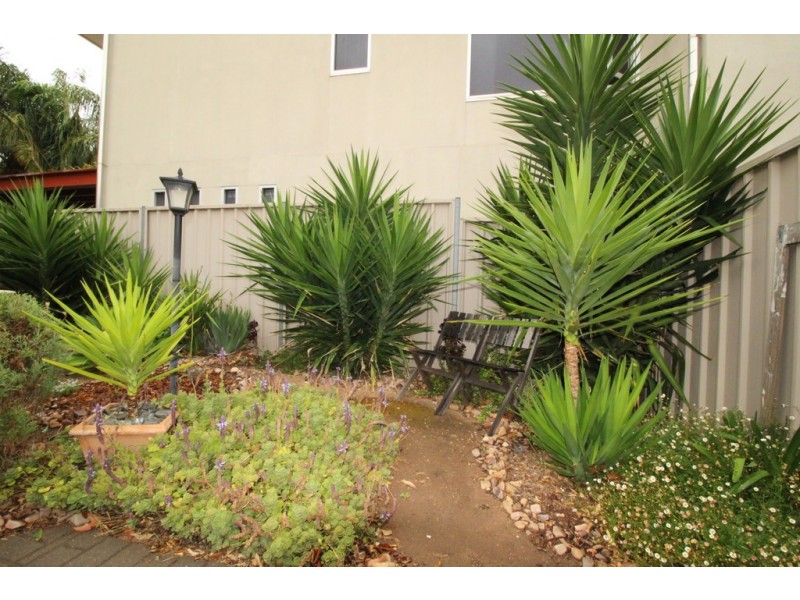 8/88-100 East Street, Torrensville SA 5031