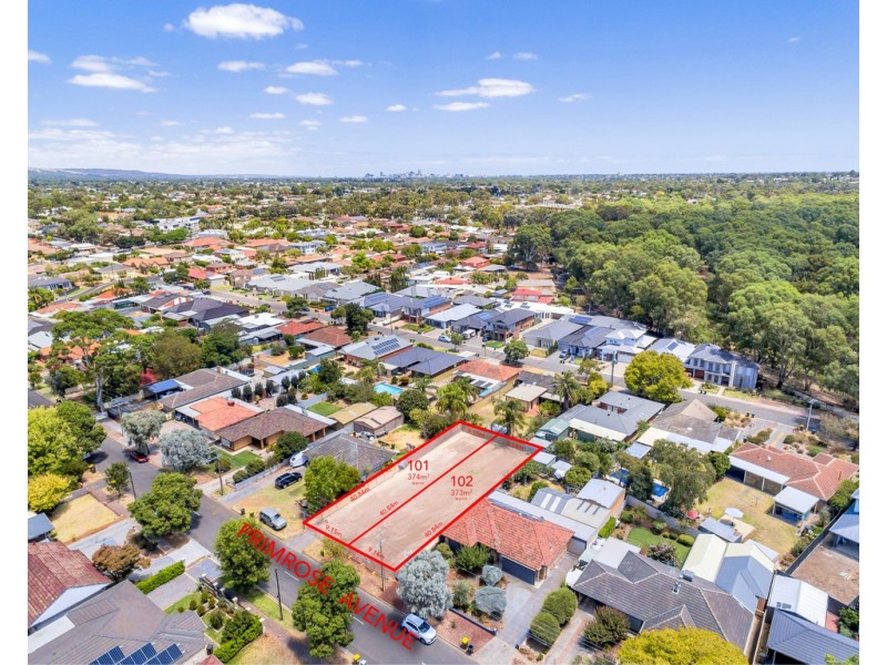 26, Lot 101 Primrose Avenue, Paradise SA 5075