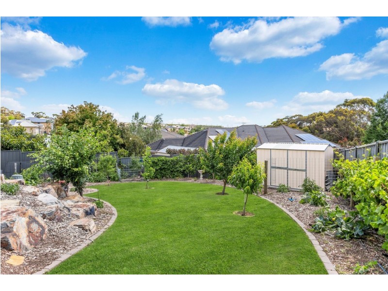 35 Coulter Street, Flagstaff Hill SA 5159