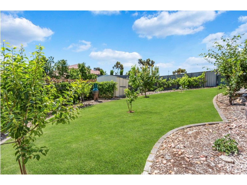 35 Coulter Street, Flagstaff Hill SA 5159