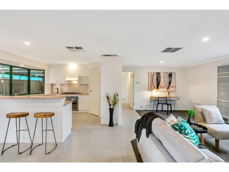 21 Pritchard Court, Camden Park SA 5038