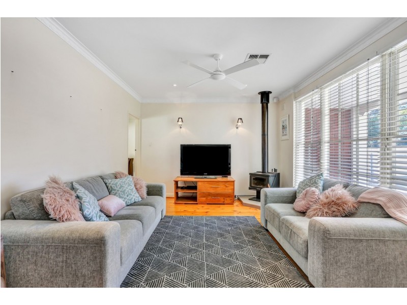 59 Elizabeth Street, Banksia Park SA 5091