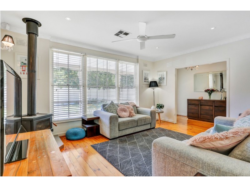 59 Elizabeth Street, Banksia Park SA 5091