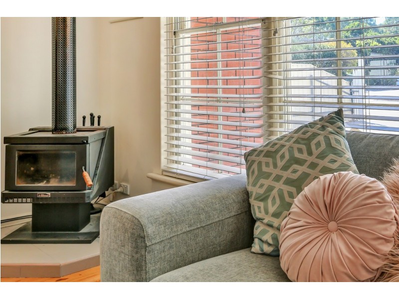 59 Elizabeth Street, Banksia Park SA 5091