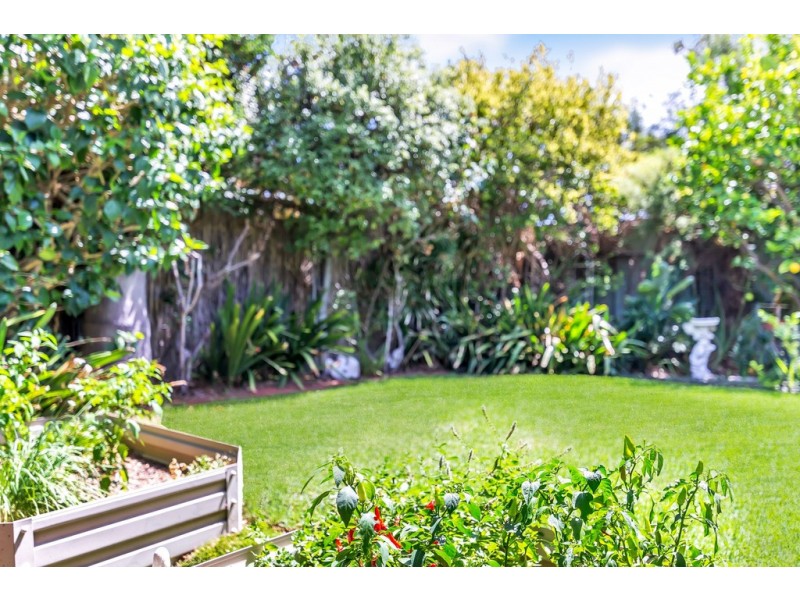 8/4 Annells Court, Grange SA 5022