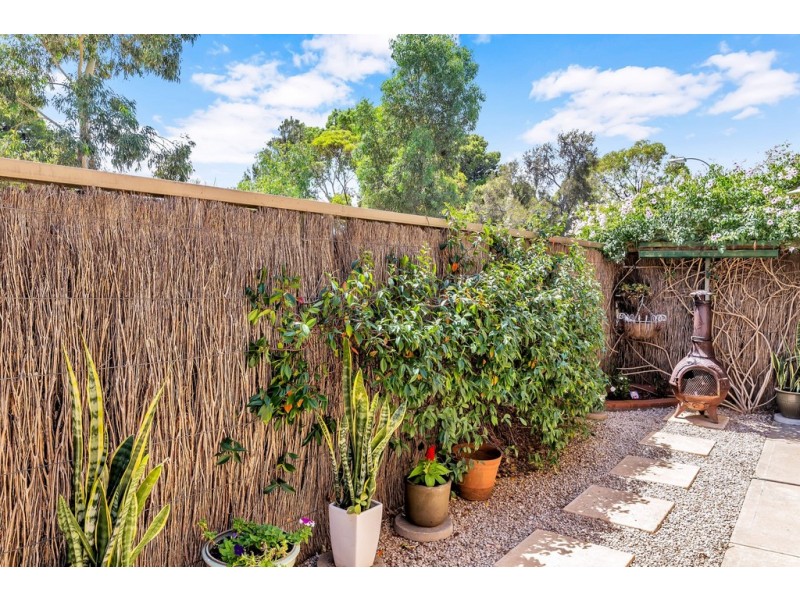 8/4 Annells Court, Grange SA 5022