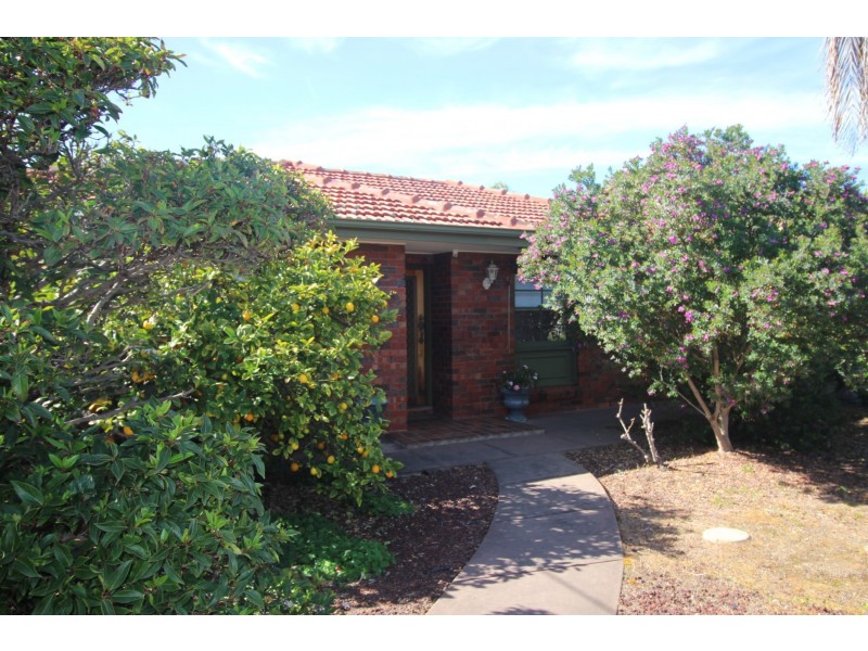 11 Walkers Road, Somerton Park SA 5044