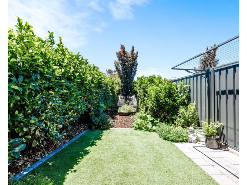 5 Gilmore Crescent, Morphettville SA 5043