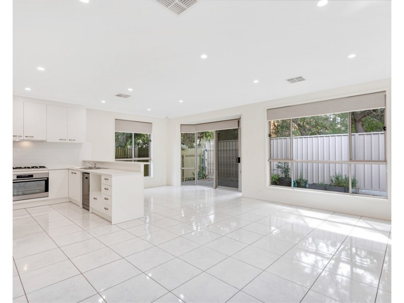29A Basnett Street, Kurralta Park SA 5037