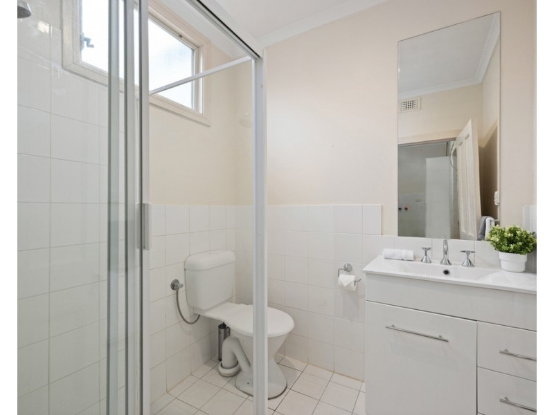 316 Young Street, Wayville SA 5034