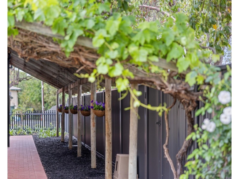 316 Young Street, Wayville SA 5034