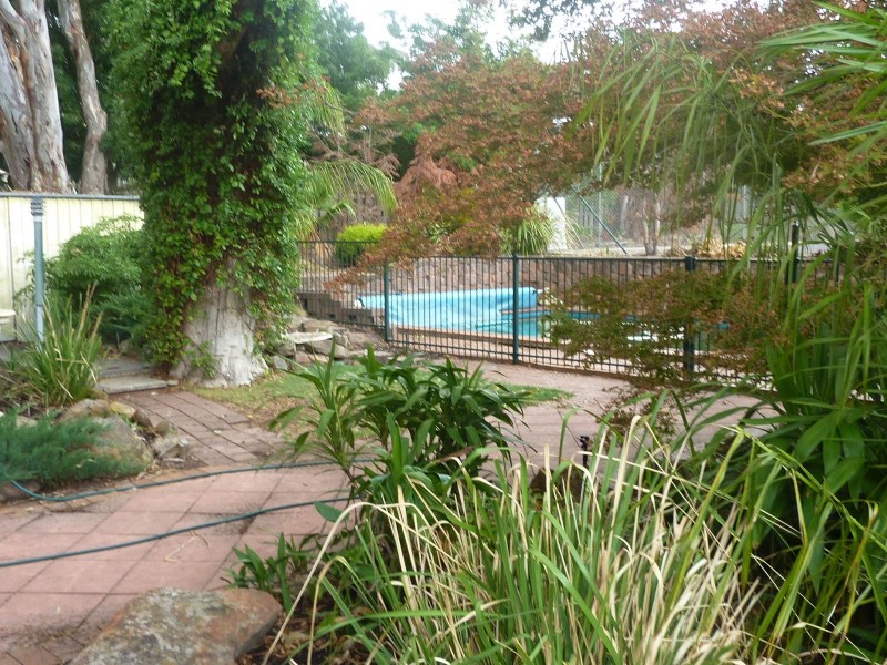 20 Vynland Drive, Flagstaff Hill SA 5159