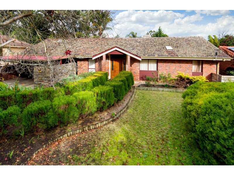 20 Vynland Drive, Flagstaff Hill SA 5159